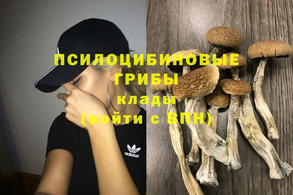 гашик Михайловск