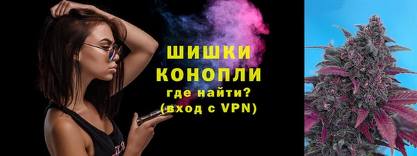 гашик Михайловск