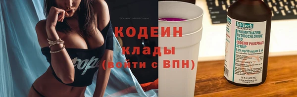 прущие грибы Уссурийск