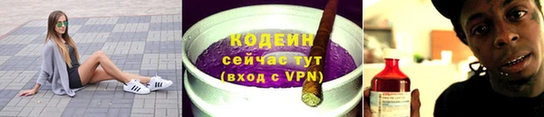 прущие грибы Новочеркасск