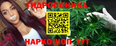 прущая мука Кингисепп