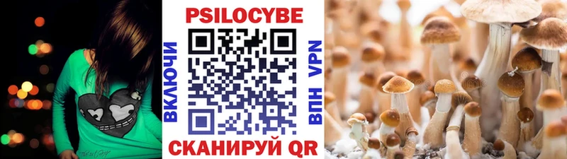 Галлюциногенные грибы мухоморы Тамбов