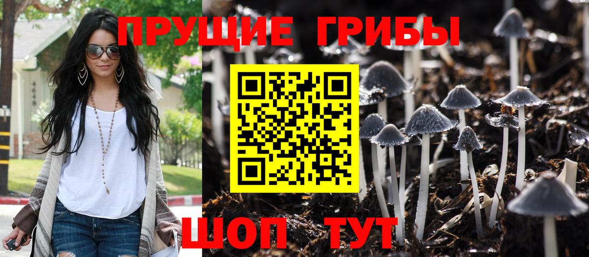 Тамбов  Галлюциногенные грибы прущие грибы  Вход с VPN 